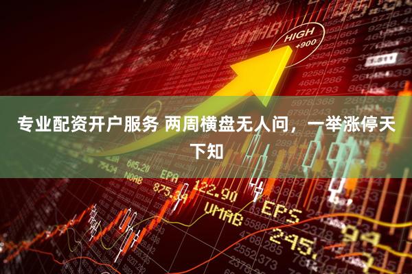 专业配资开户服务 两周横盘无人问，一举涨停天下知