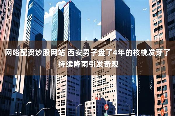 网络配资炒股网站 西安男子盘了4年的核桃发芽了 持续降雨引发奇观